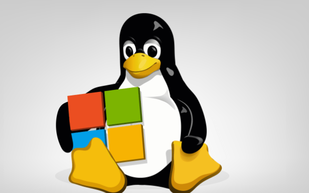 Linux系統(tǒng)安裝升級rpm文件的方法 Linux系統(tǒng)安裝升級rpm文件的方法